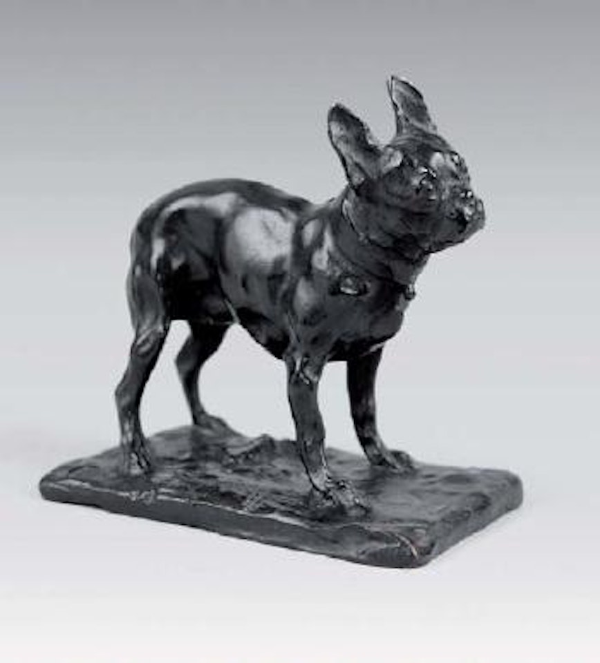 Bouledog français (petit modèle ou réduction) by Rembrandt Bugatti