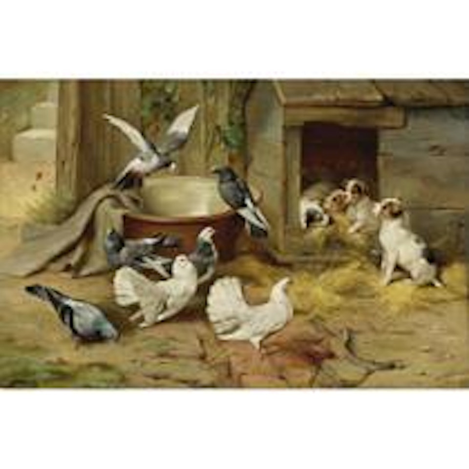 Puppies And Pigeons by Edgar Hunt