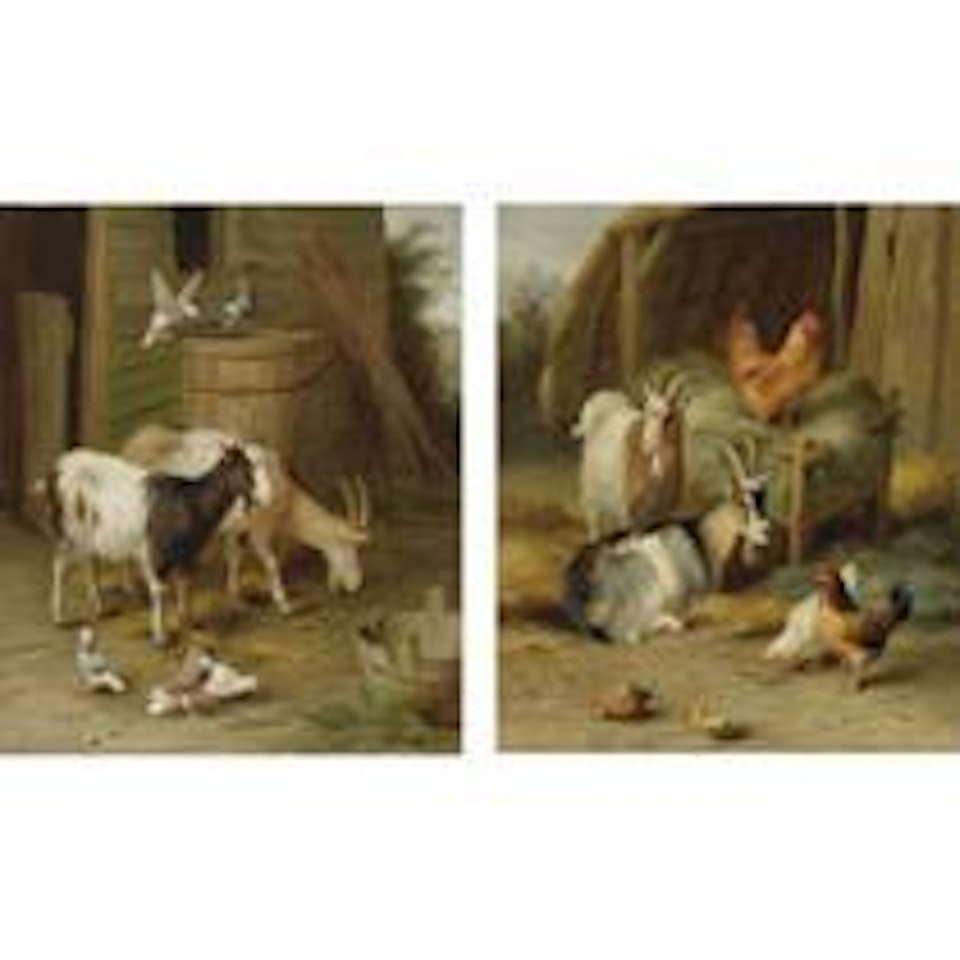Goats And Pigeons And Goats And Chickens: Two Works by Edgar Hunt