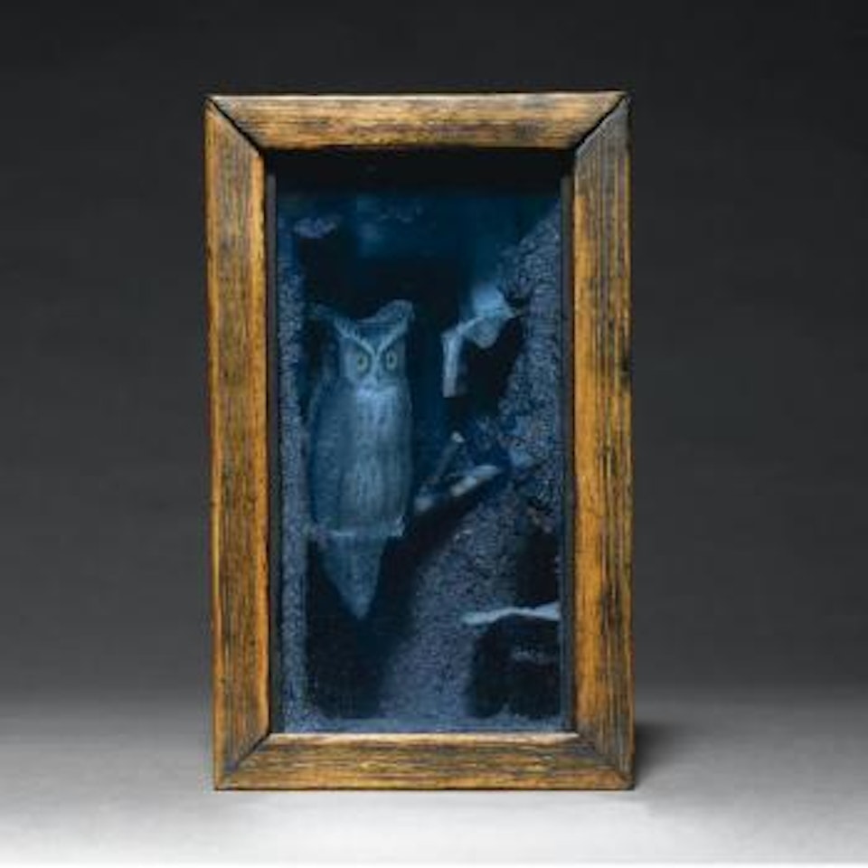 Untitled (Owl Box) by Joseph Cornell
