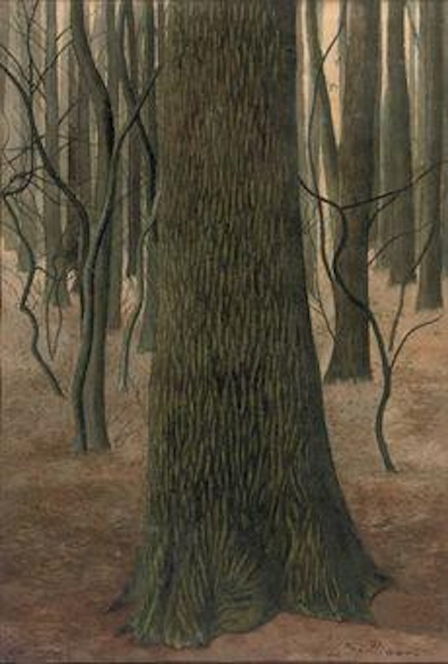 Écorce de chêne: an oak tree in a forest by Léon Spilliaert