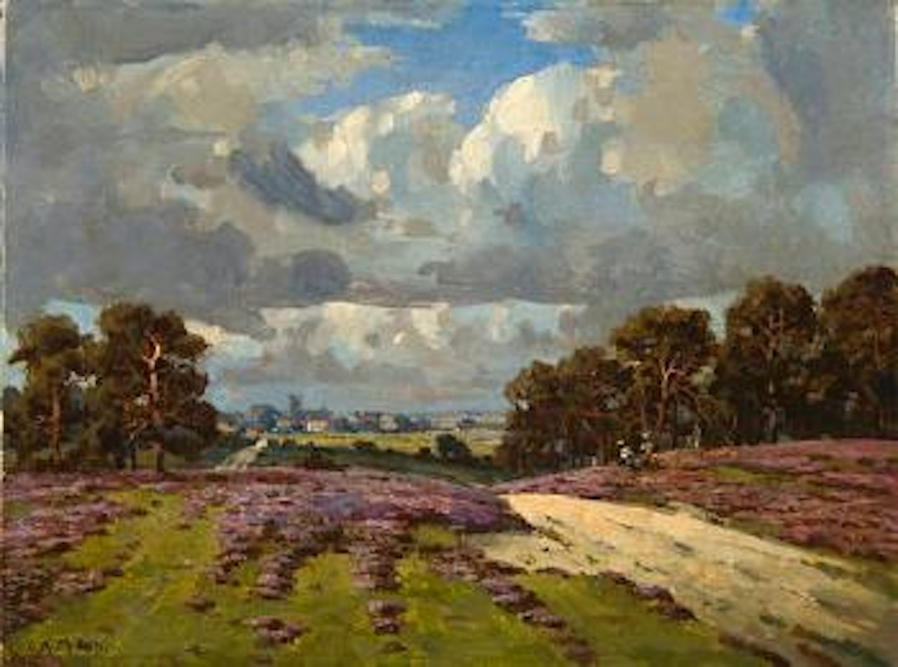 Lavender fields by Campbell Mellon
