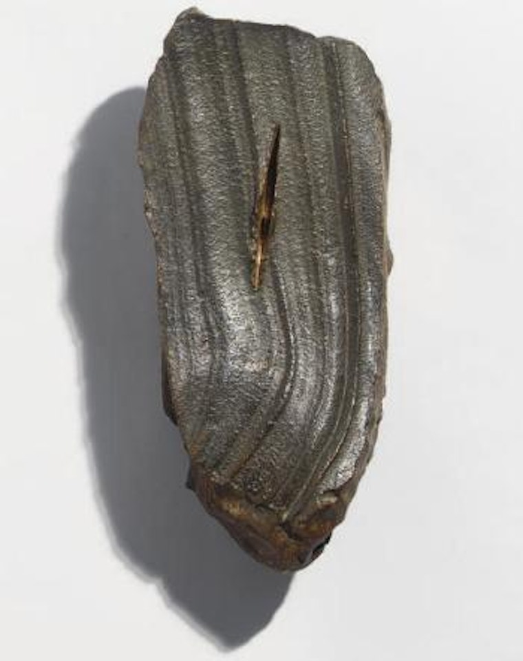Natura by Lucio Fontana