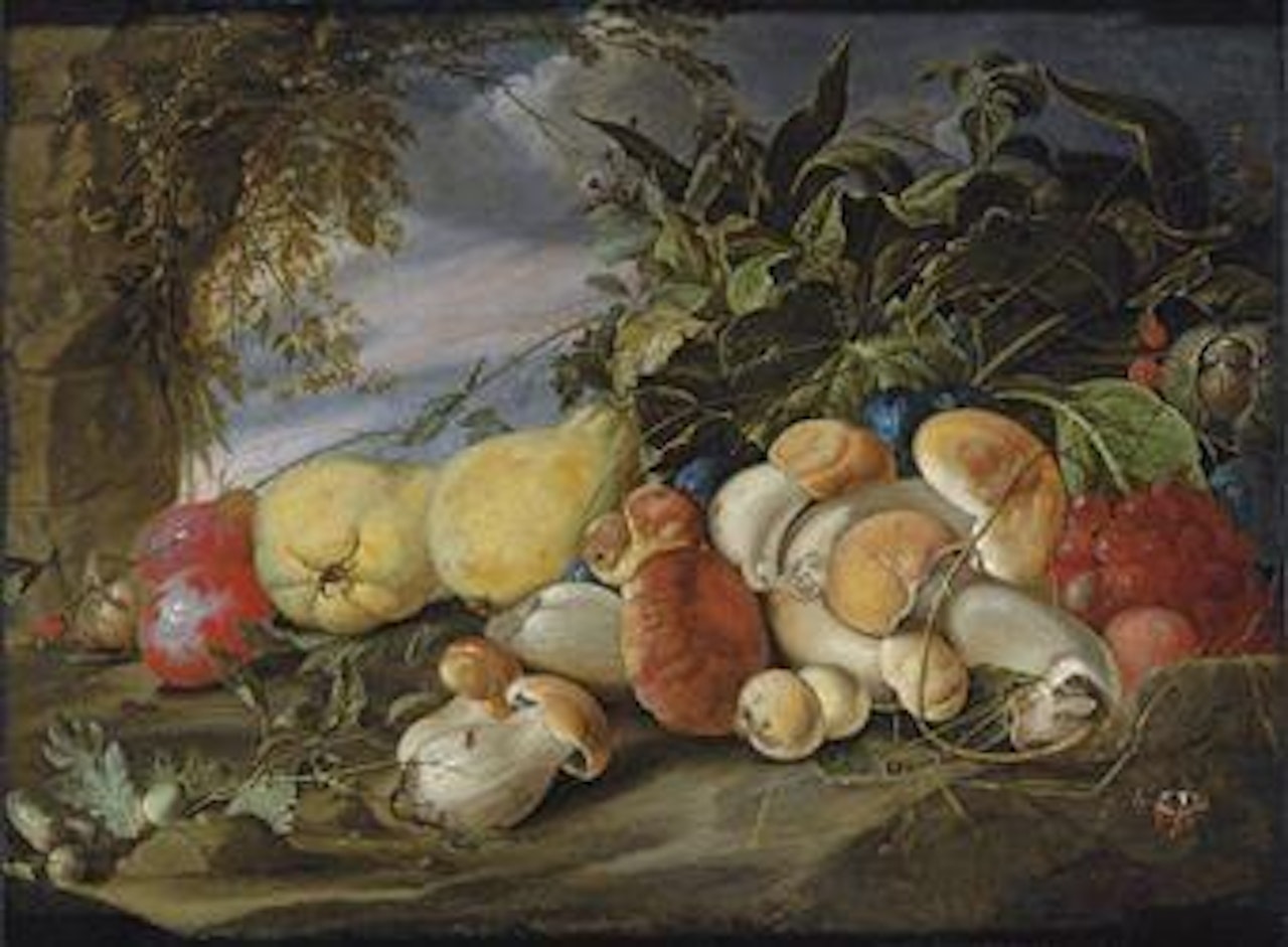 Quince, plums, grapes, mushrooms and a chestnut, with a Garden Tiger moth and other insects, in a wooded landscape by Jan Davidsz de Heem