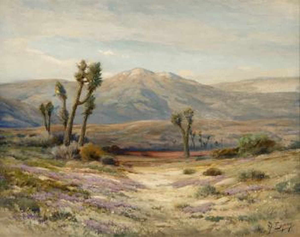Joshua trees and wildflowers in a desert landscape by Angel Espoy
