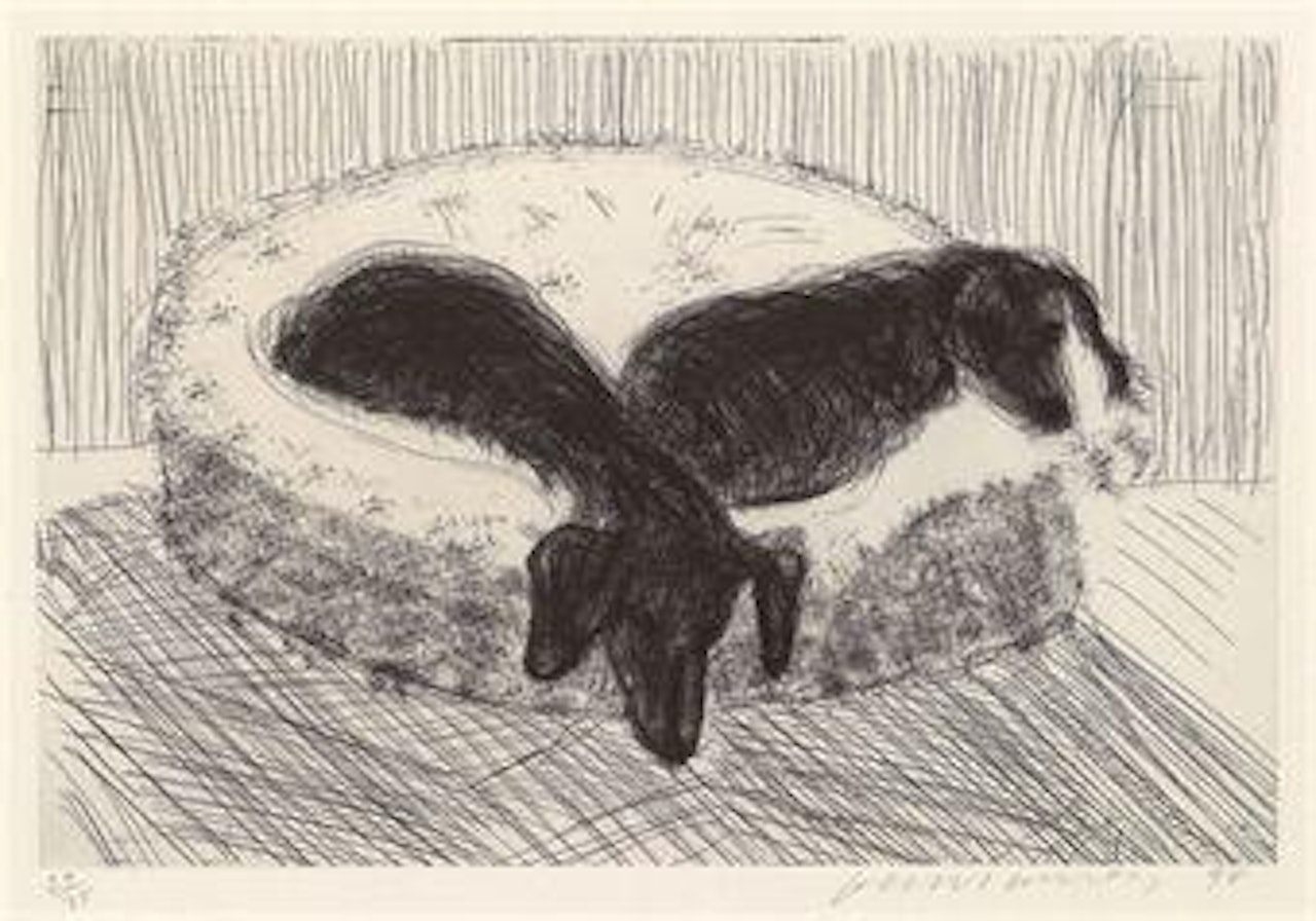 Dog Etching No. 12, from Dog Wall by David Hockney