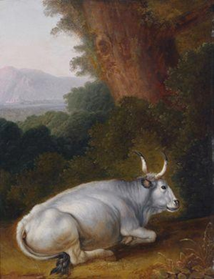 Ein paar tierdarstellungen: Liegende weiße kuh vor landschaft hintergrund. Stehende braune kuh vor berggesäumter ebene by Jacob Philipp Hackert