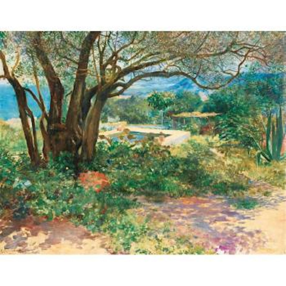 Le Vieil Olivier À Djenan Meryem, Alger by Georges Antoine Rochegrosse