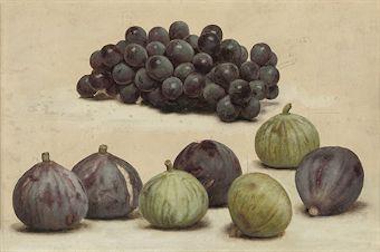 Still life of grapes and figs by JOHN WILLIAM GODWARD, R.B.A.