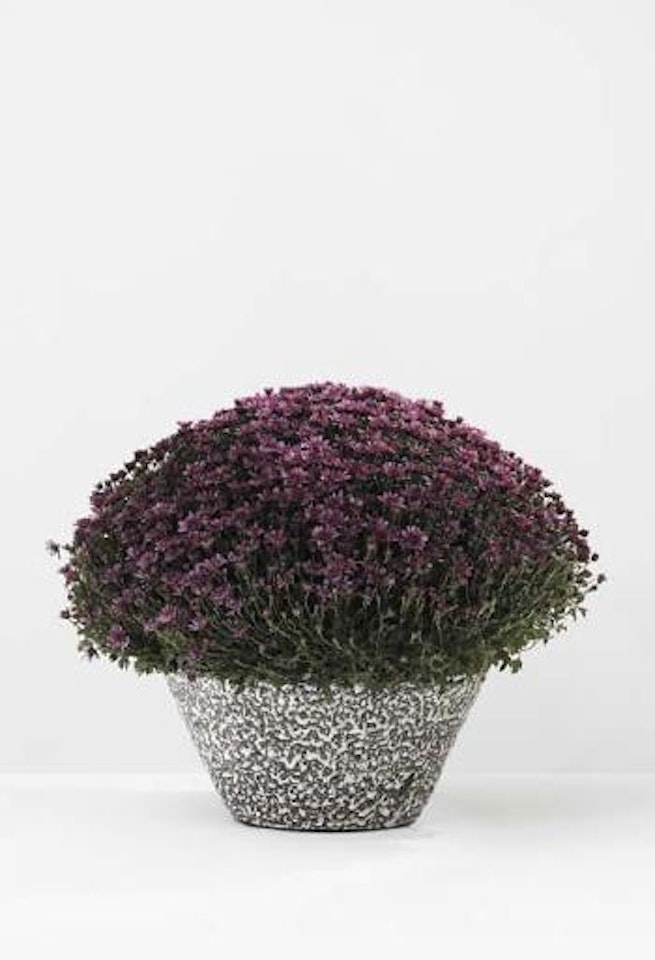 Large circular planter by Lucie Rie