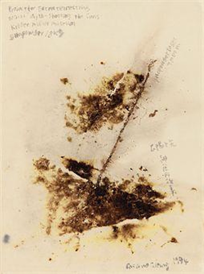 Project for Extraterrestrials No. 21 Myth-Shooting the Suns by Cai Guo-Qiang
