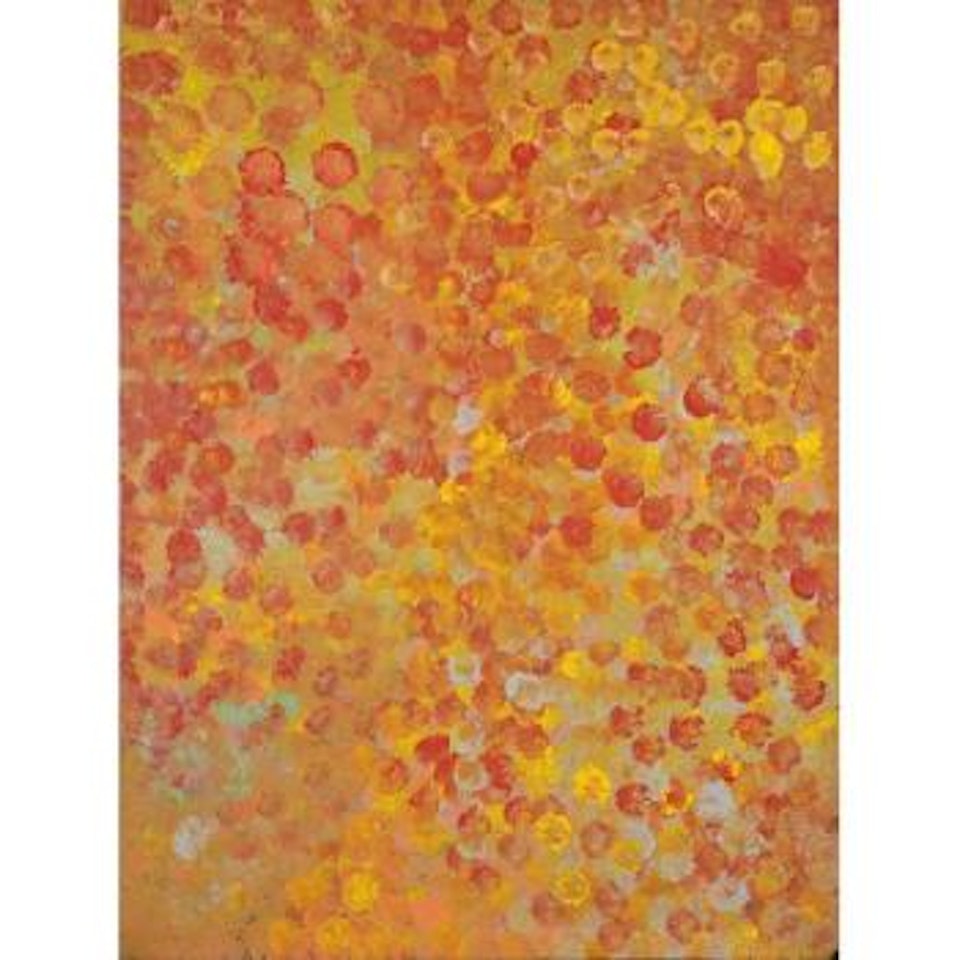 My Country by Emily Kame Kngwarreye