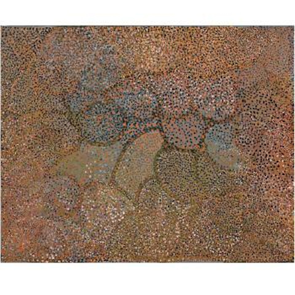 Untitled by Emily Kame Kngwarreye