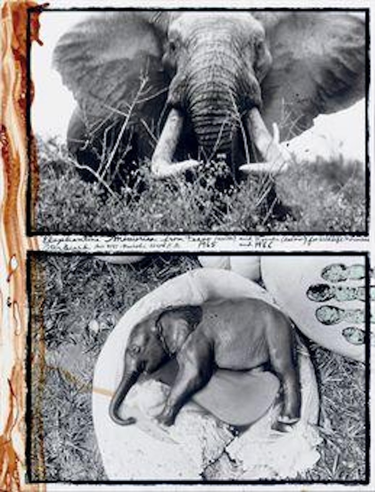 Elephantine Memories from Tsavo North by Peter Beard