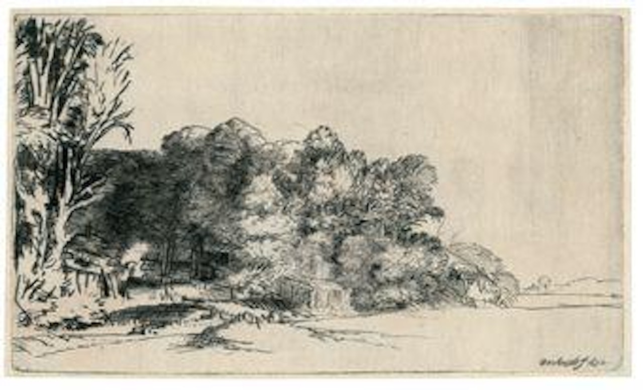 A Clump of Trees with a Vista (B., Holl. 222; H. 263) by Attributed to Rembrandt Harmensz van Rijn