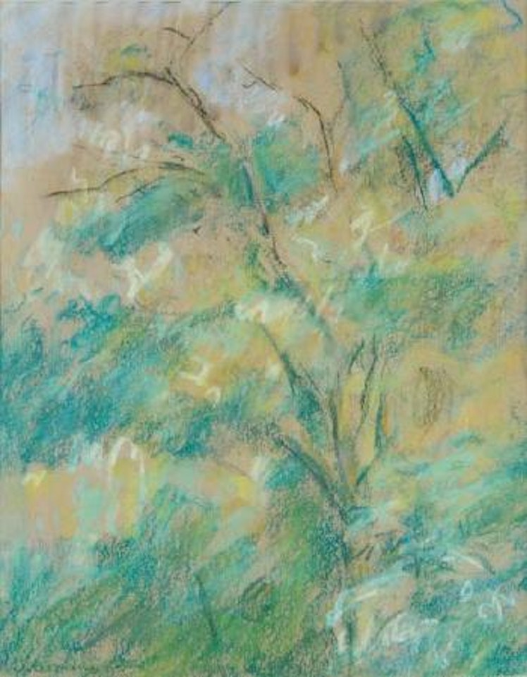 Sketch of a treetop (Wannseegarten) by Max Liebermann