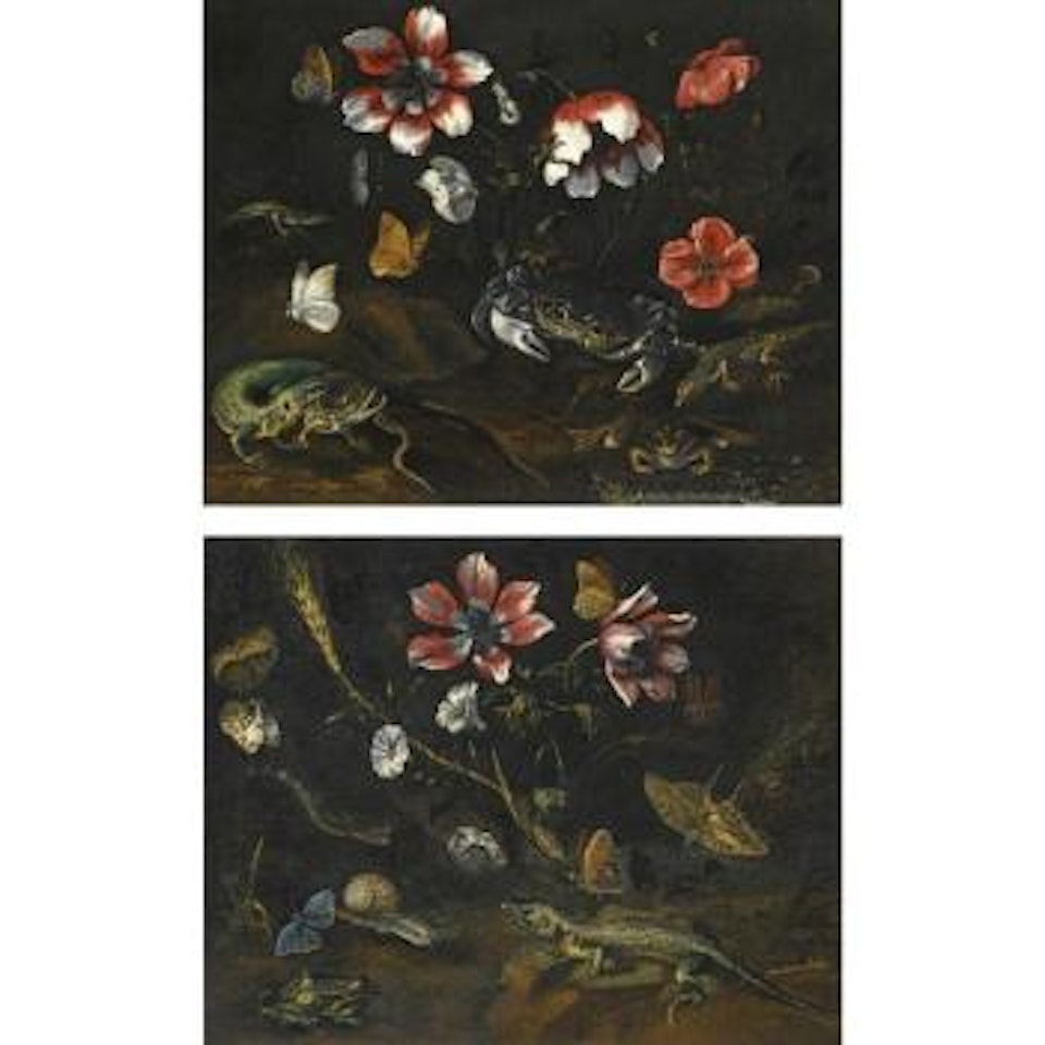 A Still Life With Butterflies And Anemones, A Lizard, A Snail, A Snake And A Frog by Florentine School