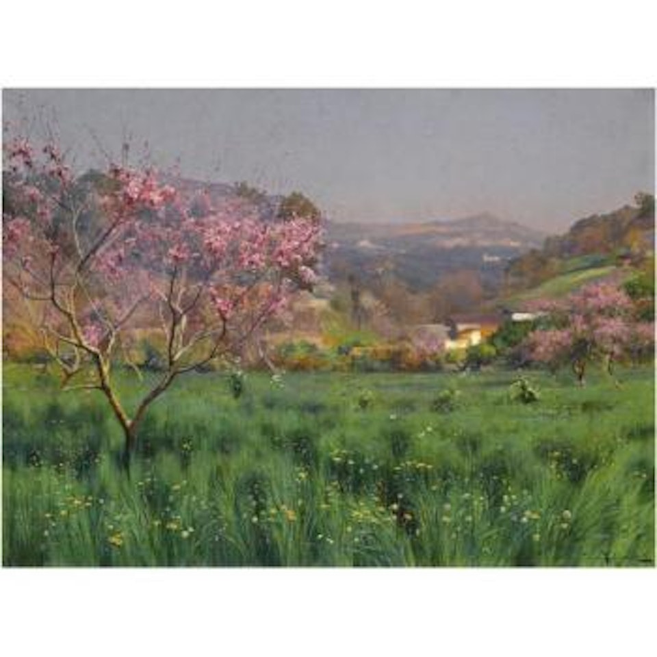 Dogwood In Bloom by Jossif Kratschowski