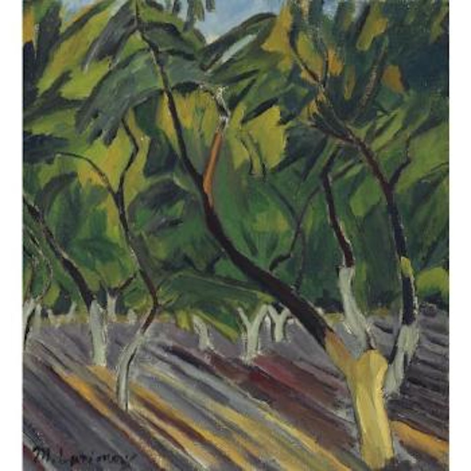 Garden In Tiraspol, Bessarabia by Mikhail Larionov