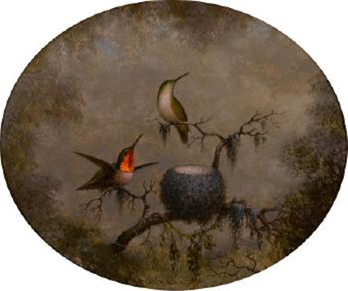 Hummingbirds and their nest by Martin Johnson Heade