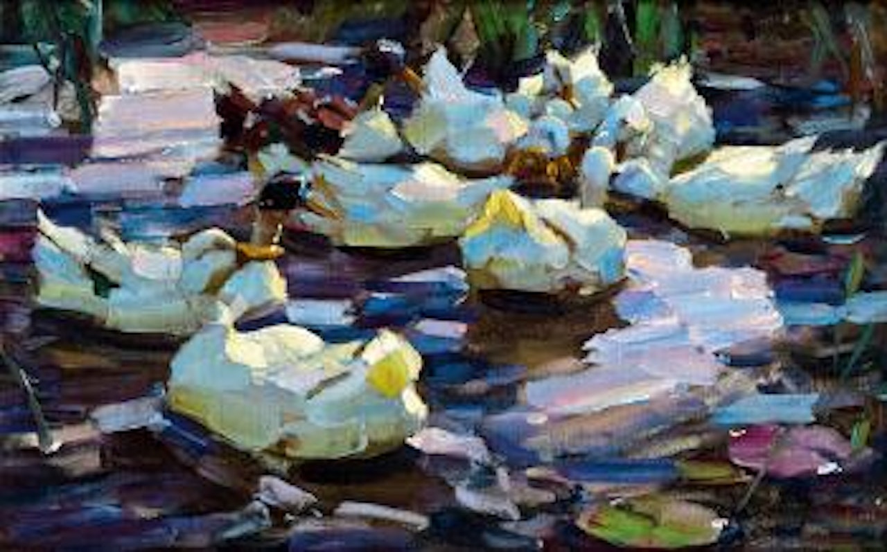 Enten im Schilfwasser by Alexander Koester