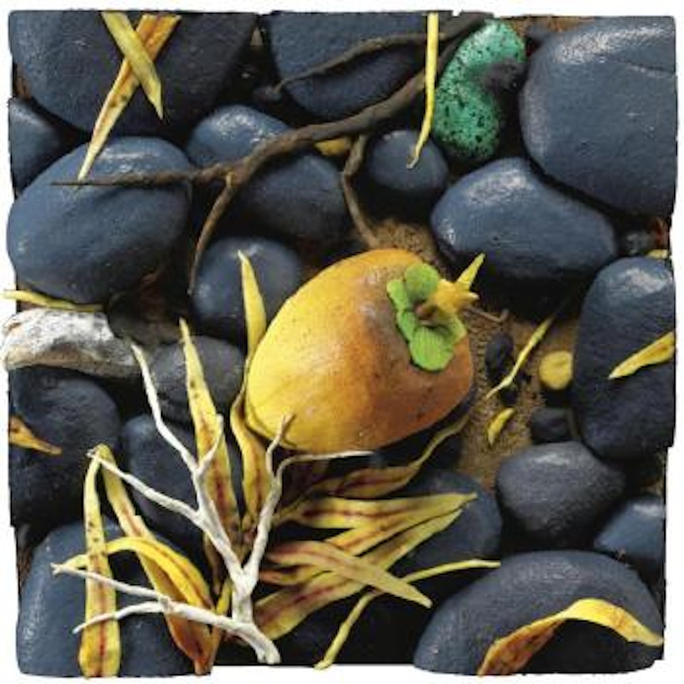 Cocco Caduto by Piero Gilardi