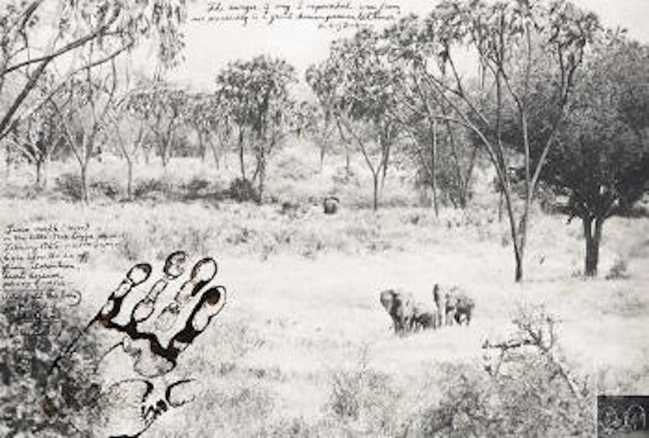 Tsavo Before the Die-Off, Tsavo North by Peter Beard