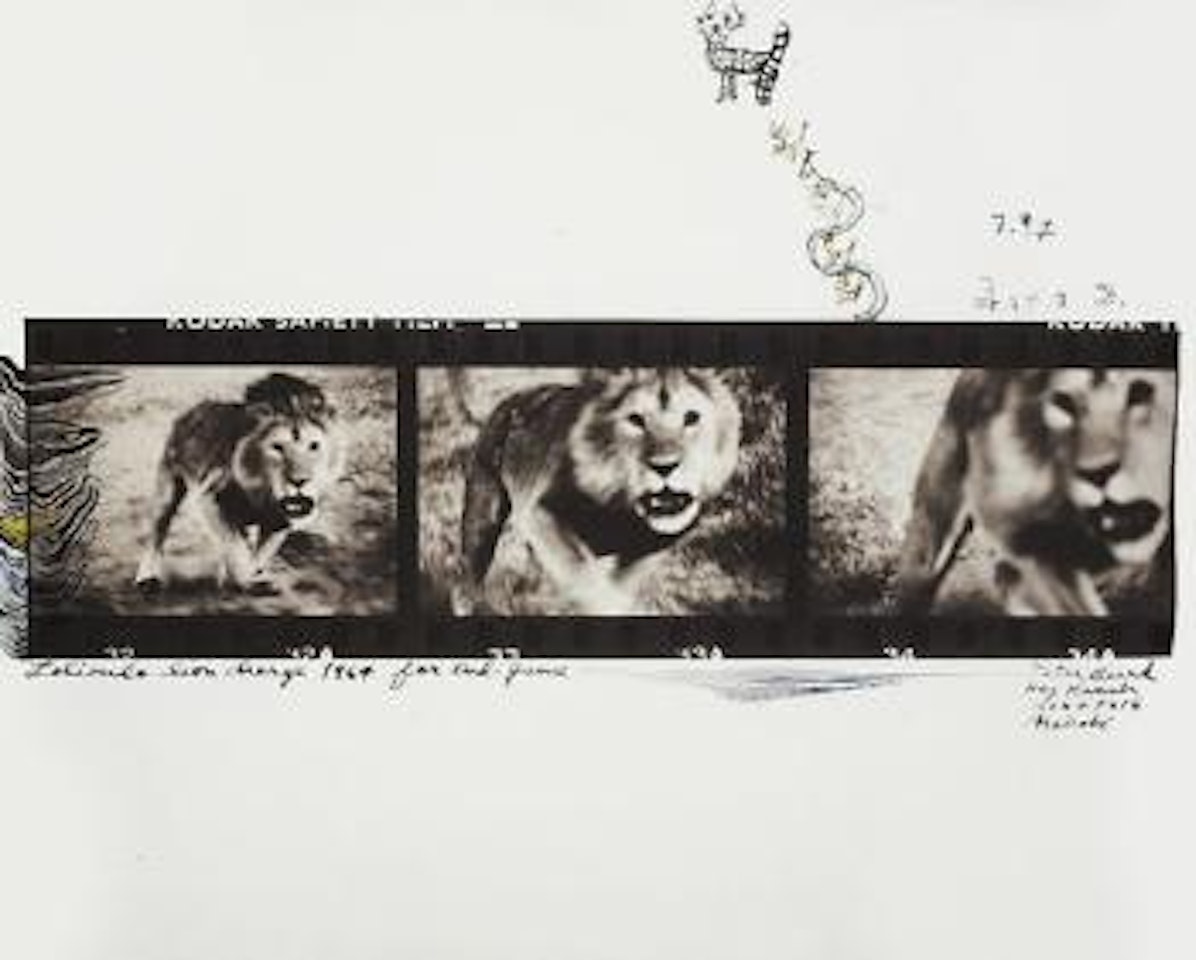 Lolindo Lion Charge by Peter Beard
