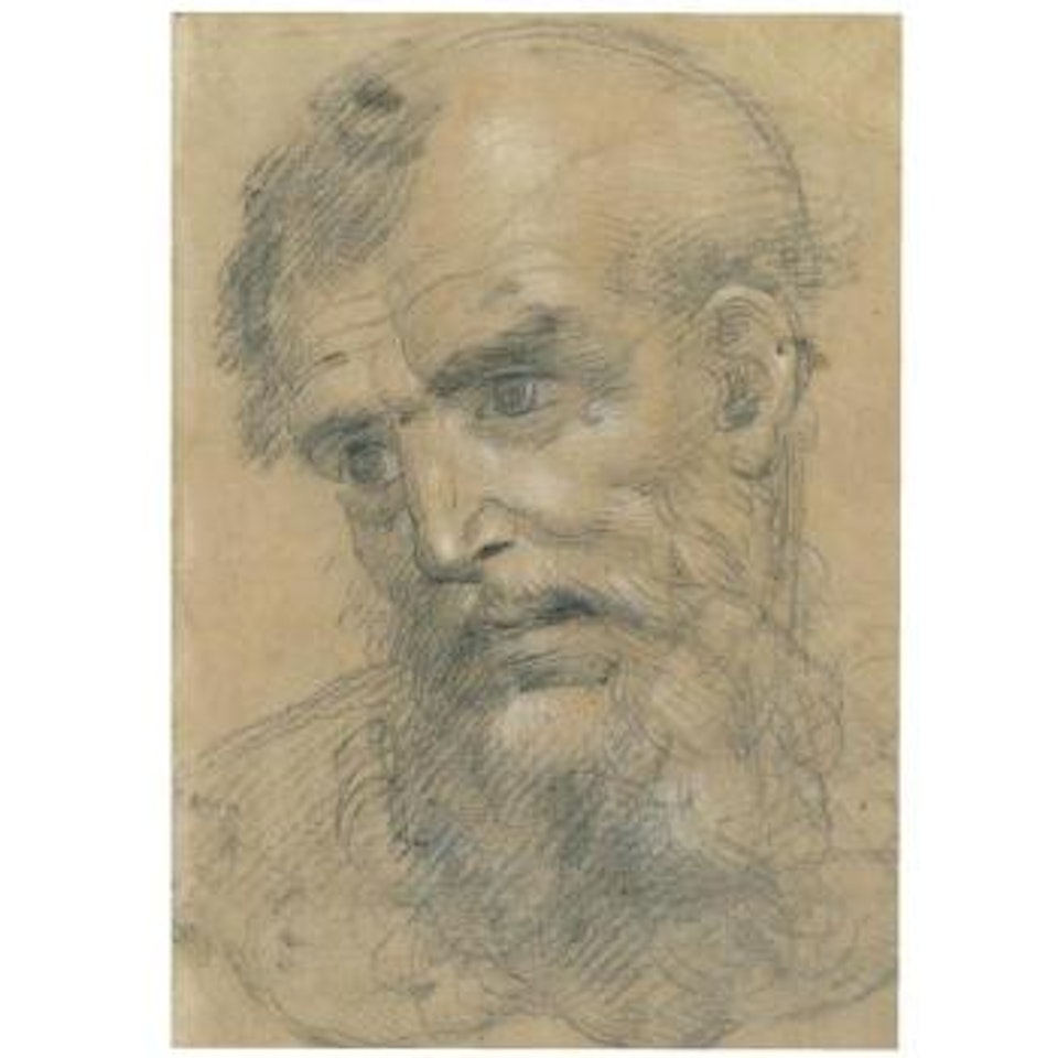 Recto: The Head Of A Bearded Man Inclined To The Left; Verso: Study For A Madonna And Child With Saints by Giovanni Antonio Sogliari
