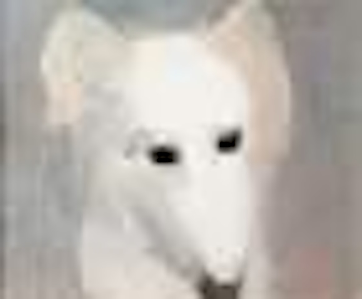 Tête de lévrier by Marie Laurencin
