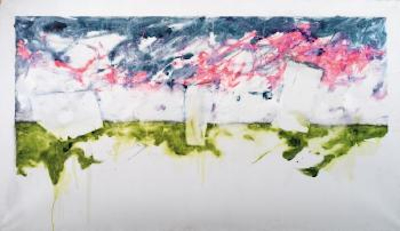 Contaminare natura by Mario Schifano