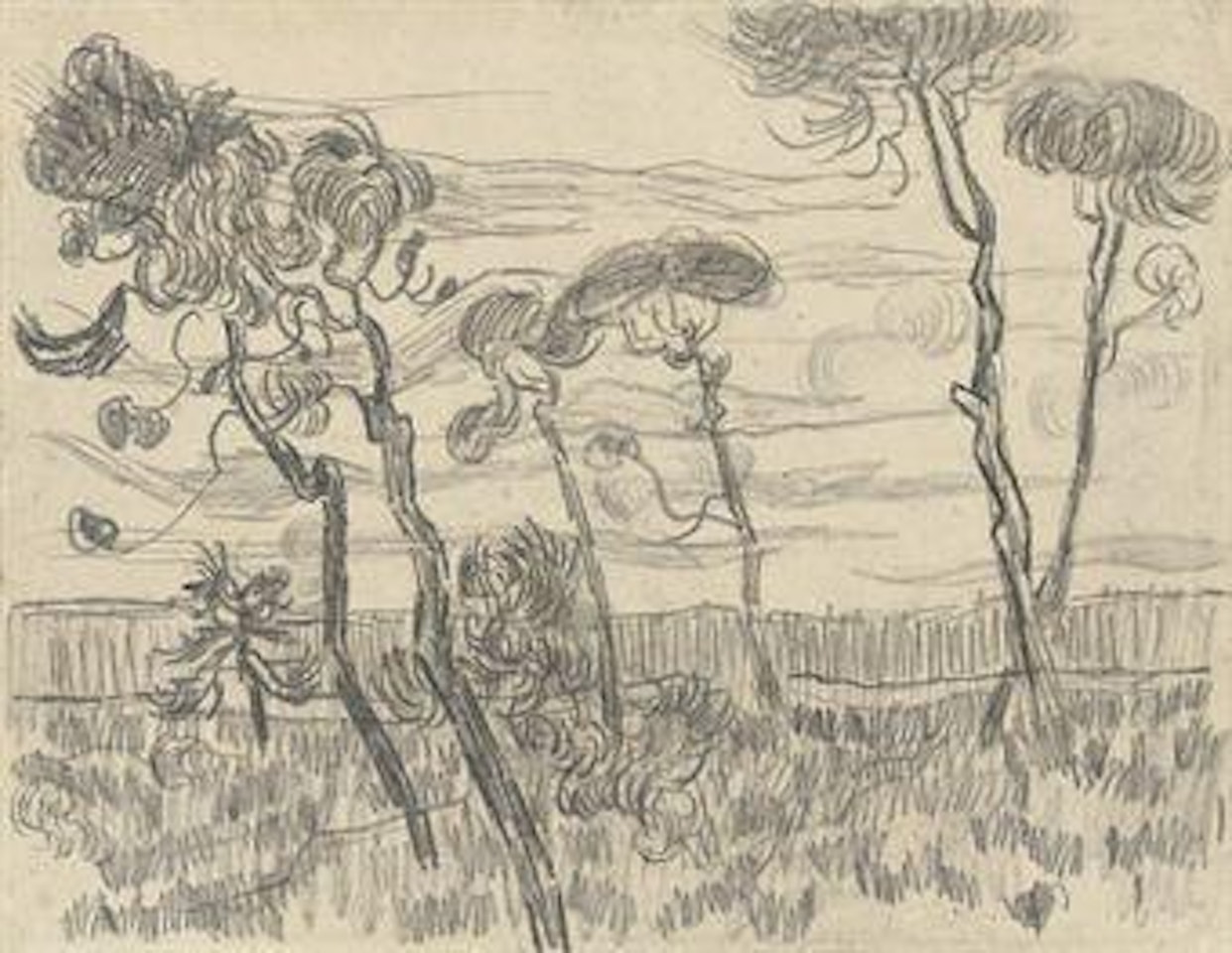 Six pines near the enclosure wall by Vincent van Gogh