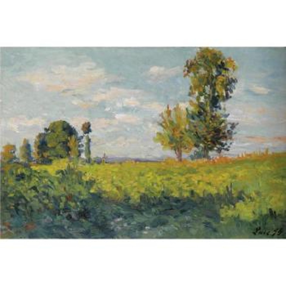 Champs by Maximilien Luce