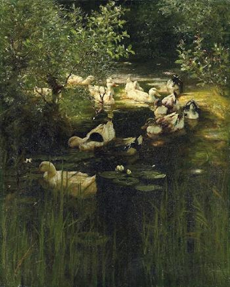 Enten im Teich by Alexander Koester