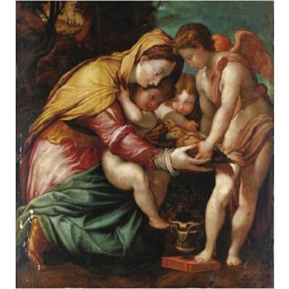 Madonna Del Pappagallo by Francesco Salviati