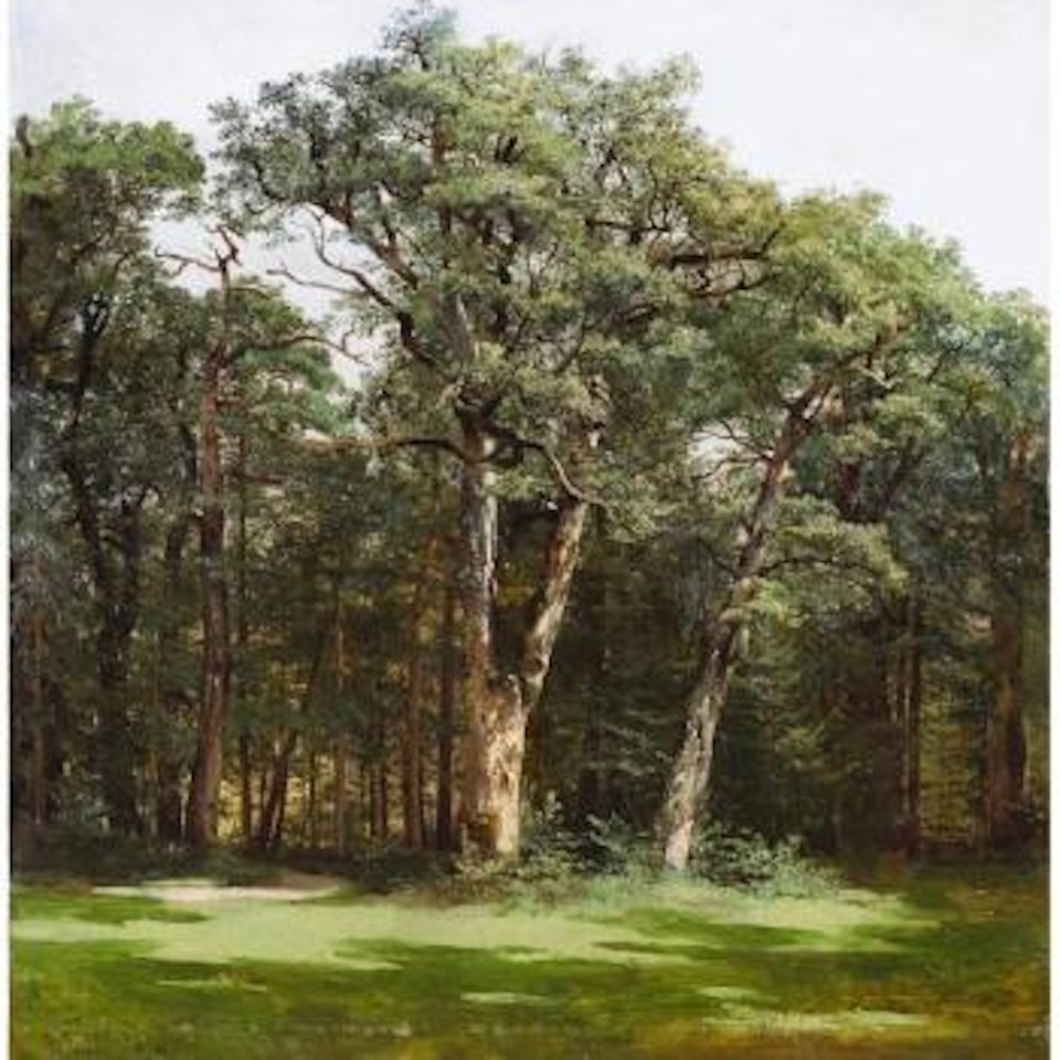 Arbres by Alexandre Calame