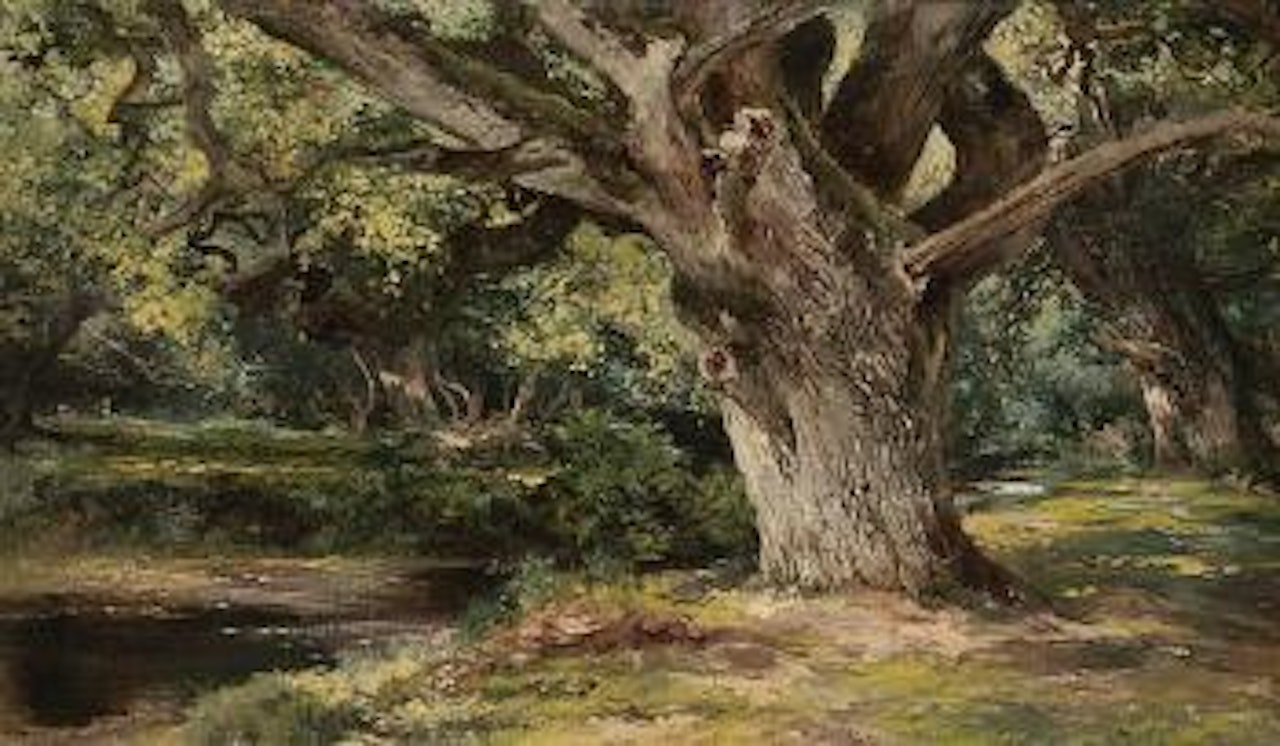 Burnham Beeches by Keeley Halswelle
