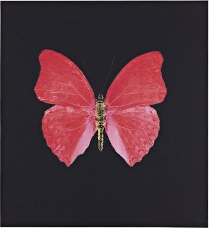 Red Butterfly by Damien Hirst