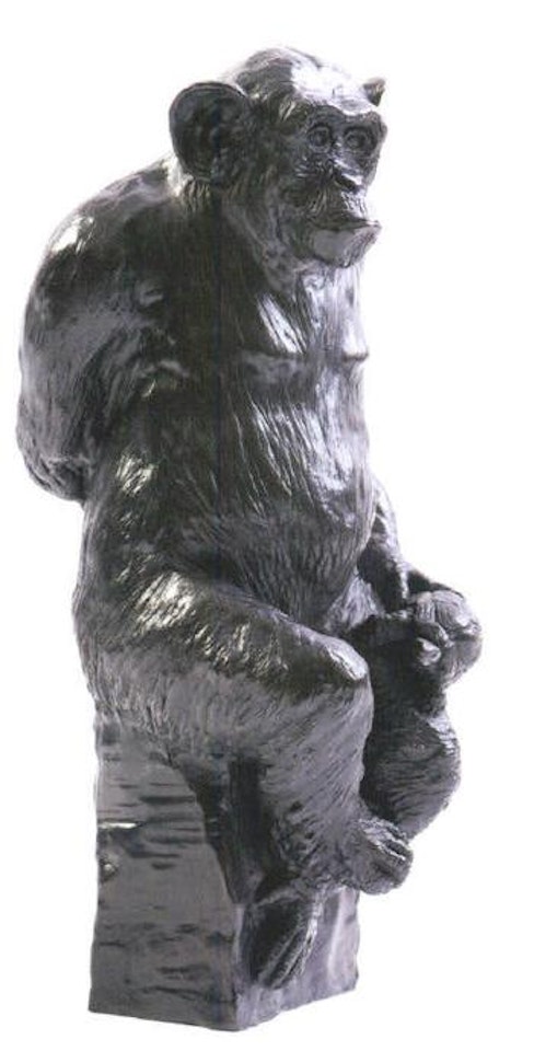 Socrate et sa tortue by Damien Colcombet