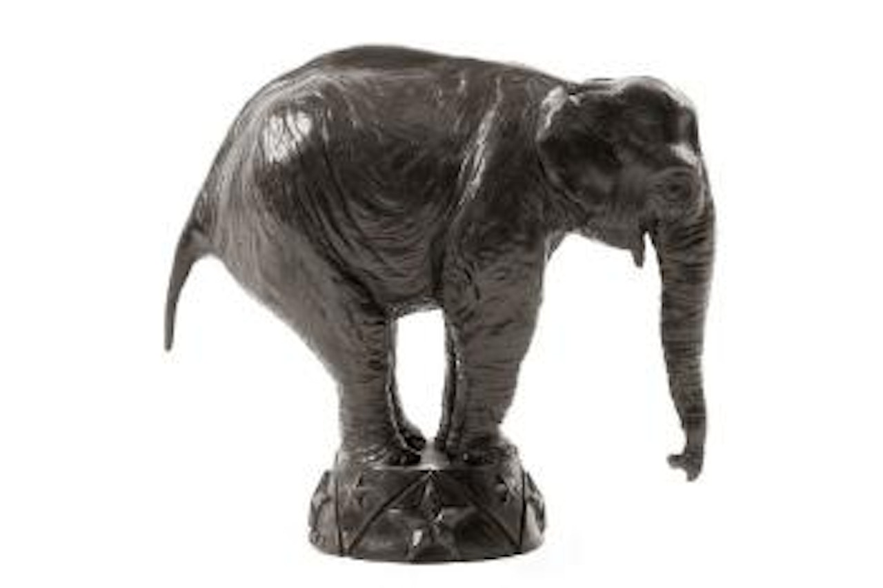 Elephant d'Asie au cirque by Damien Colcombet