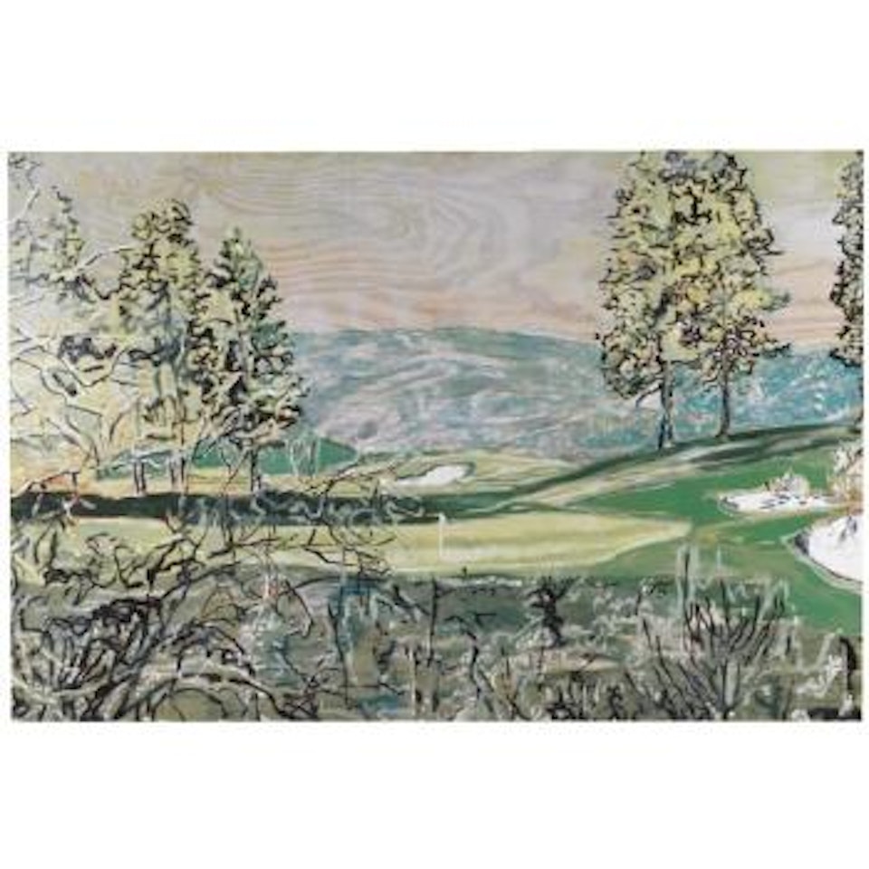 Desert Canyon's Lake Nine by Peter Doig