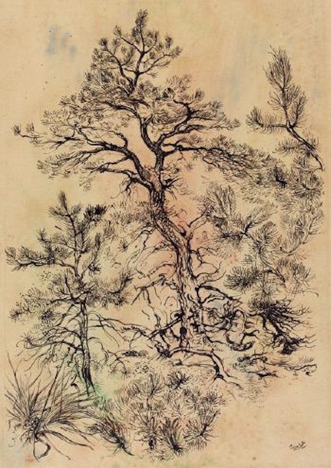 Baumstudien in Cape Cod by George Grosz