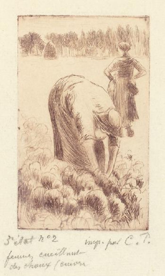 Femme cueillant des choux [Delt. 77/III (v. VII)] by Camille Pissarro