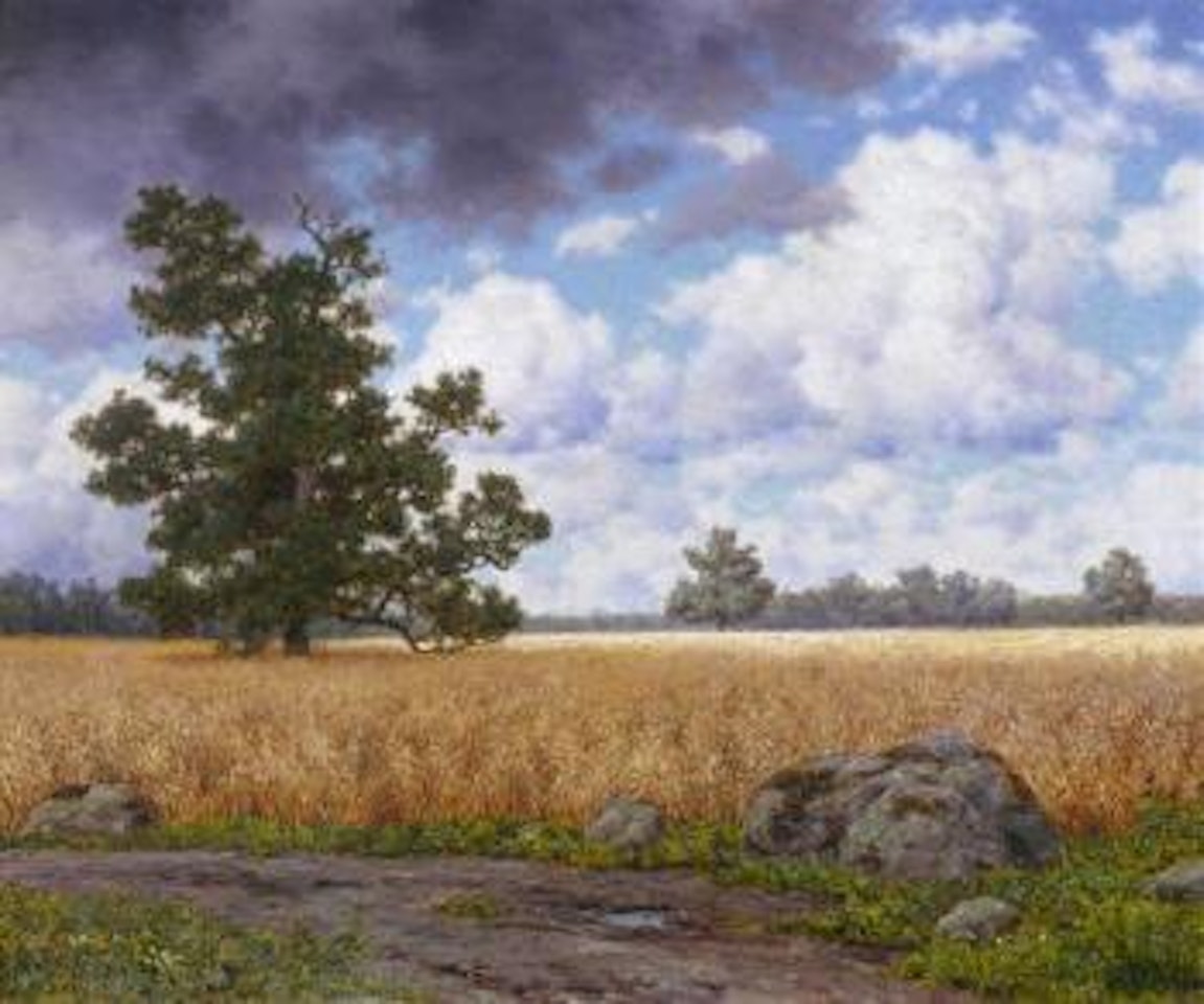 Broad summer landscape by Ivan Fedorovich Choultse