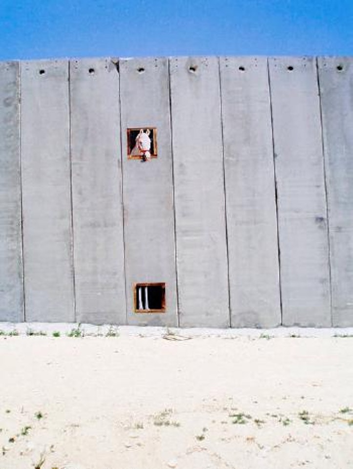 Horse by Banksy