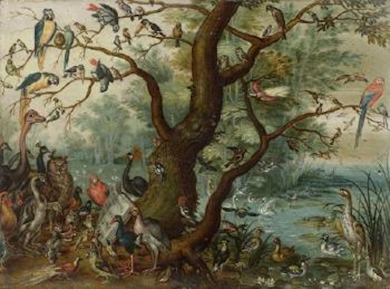 Chorus of birds by Jan Brueghel the Younger