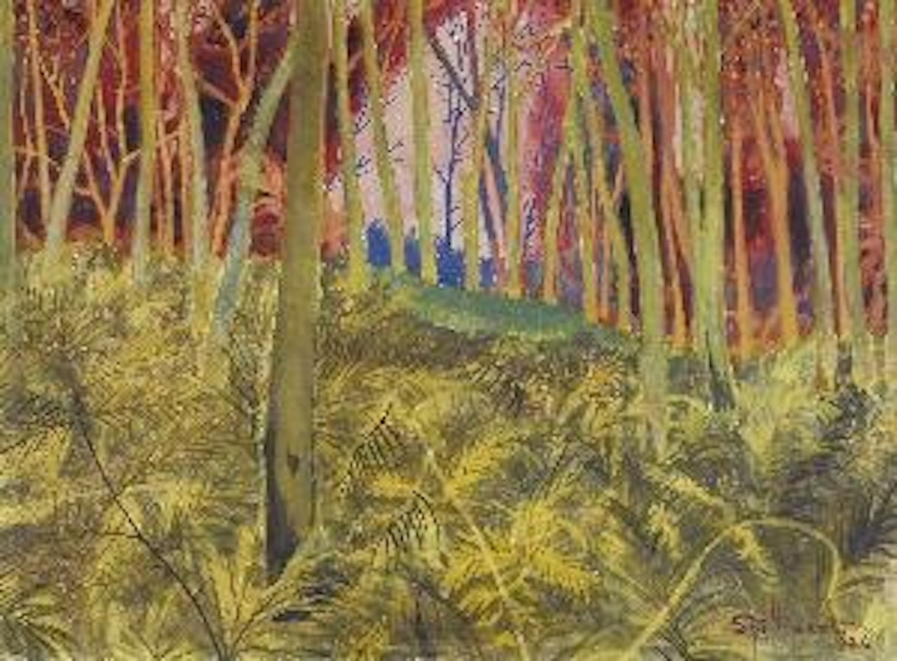 Boszicht met varens - Sous-bois aux fougéres by Léon Spilliaert