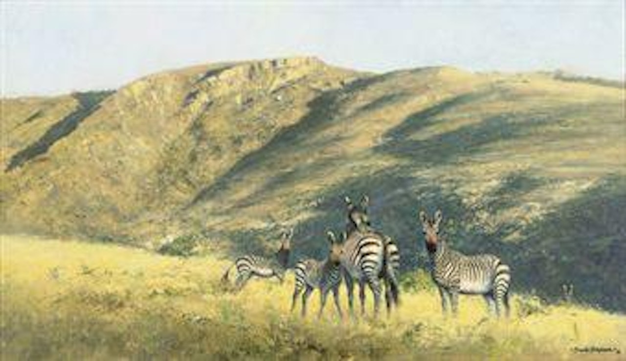 Zebras by David Shepherd