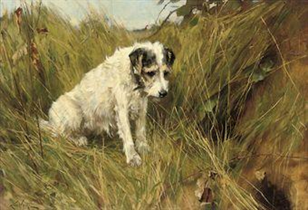 Patience by Arthur Wardle