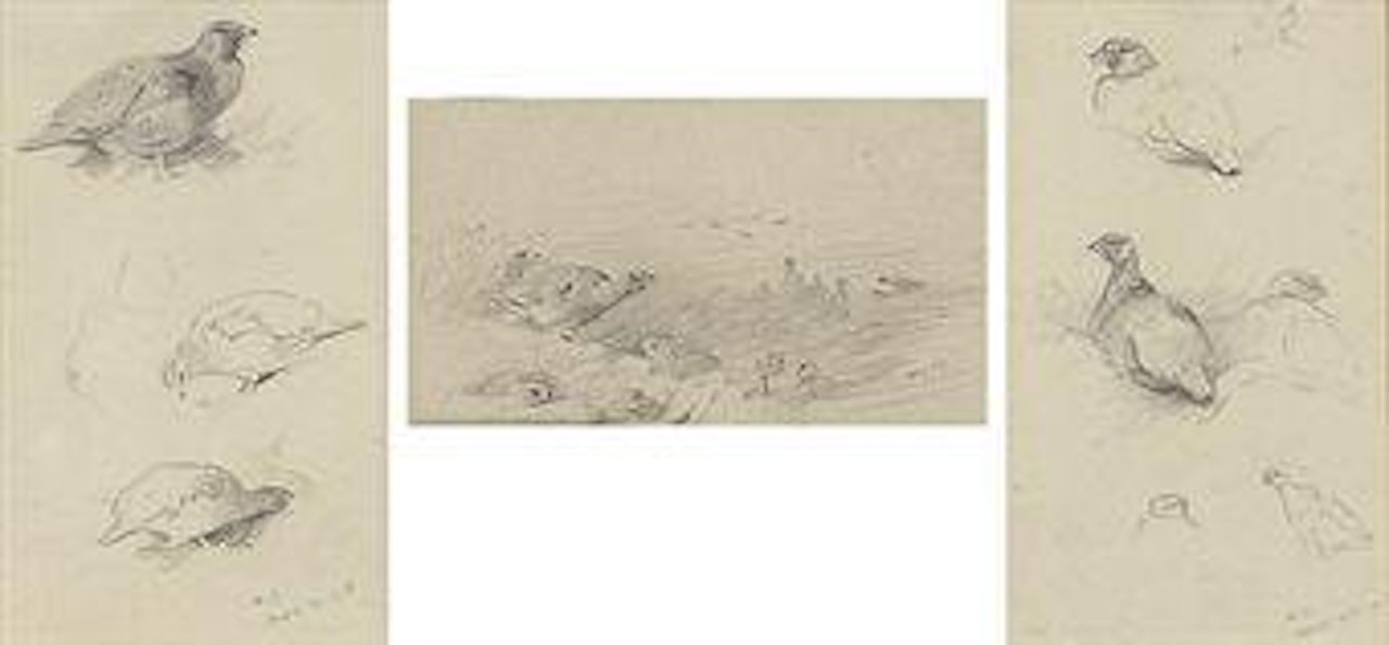 Three studies of grouse by Archibald Thorburn
